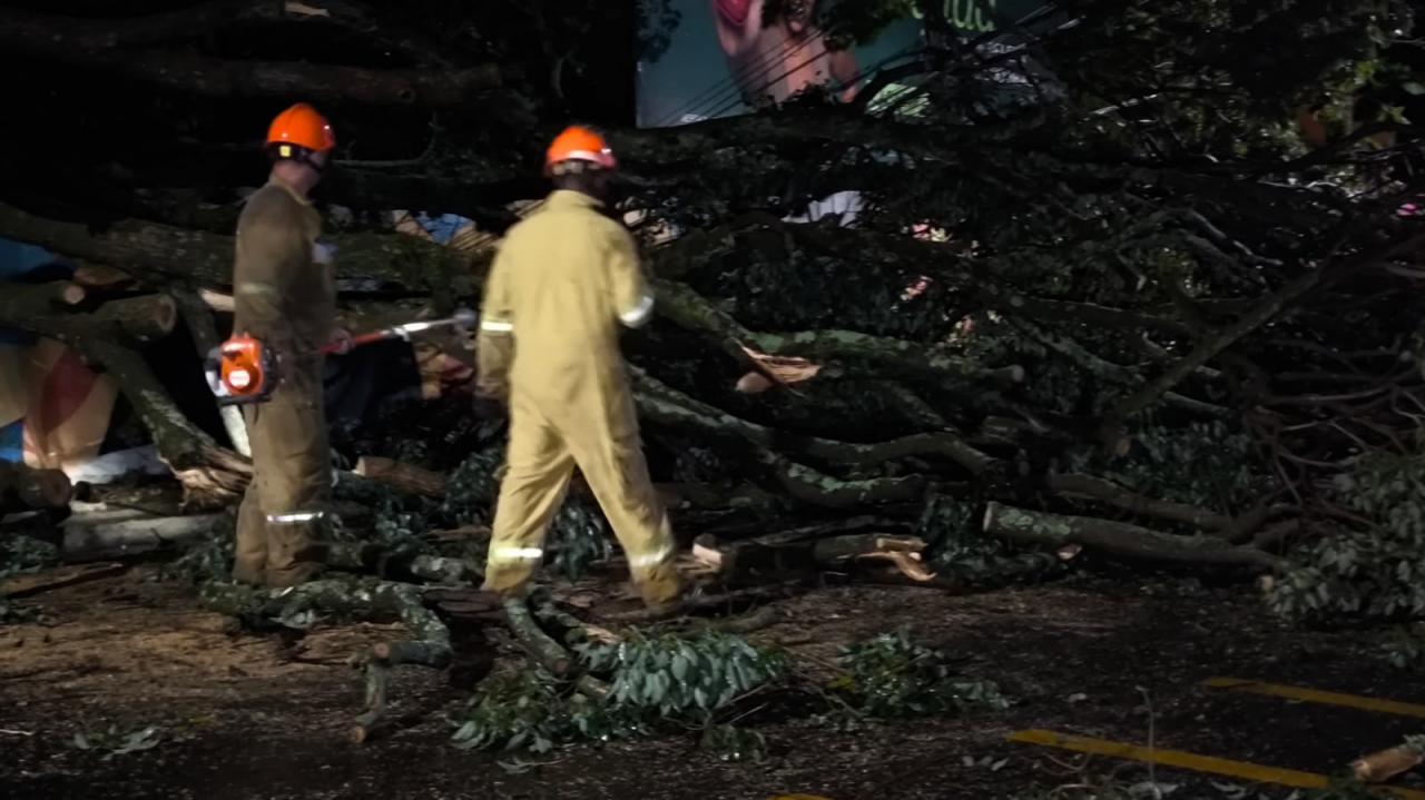 Foto 14 de 67 — TEMPORAL EM FOTOS: veja imagens de destruição em Araraquara